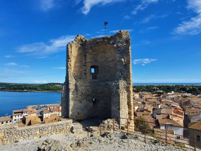 Tour Barberousse